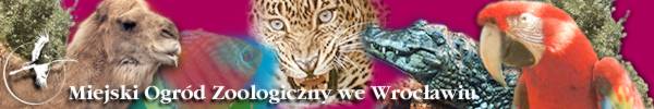 Miejski Ogrd Zoologiczny we Wrocawiu
